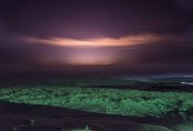 Невидимая красота зимней степи