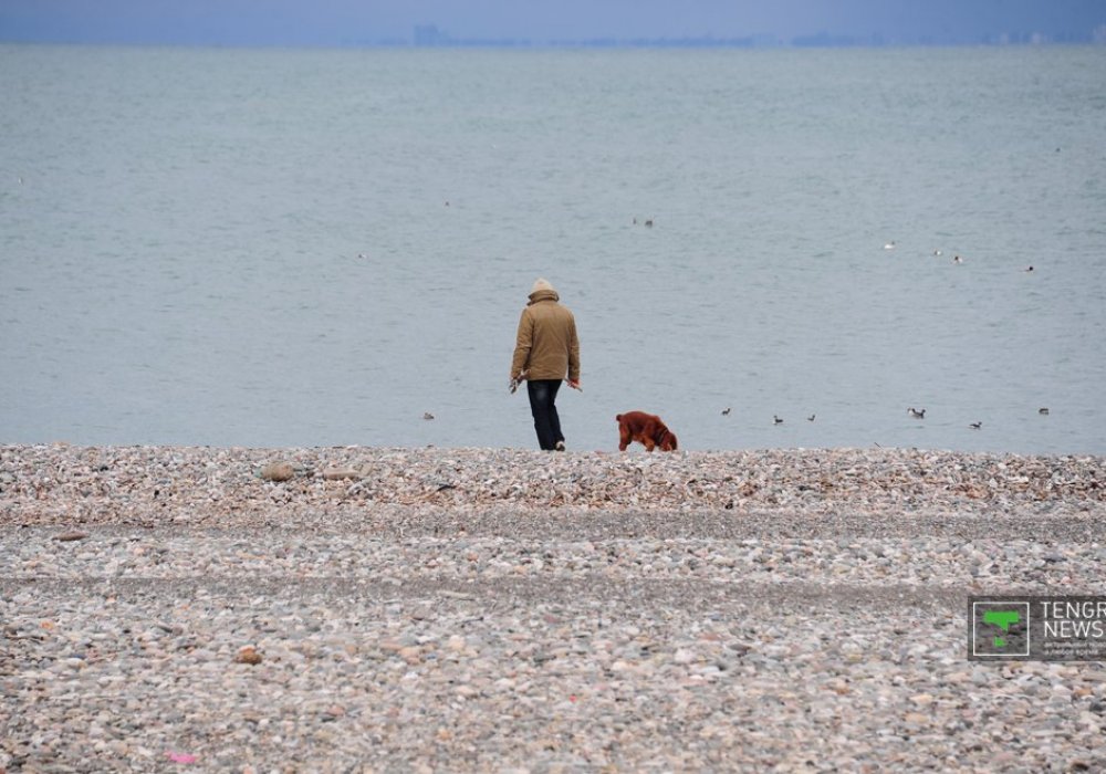 Мужчина гуляет со своей собакой по набережной Батуми.