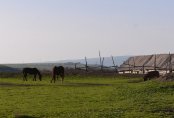 Побег из города. Фотографии после которых хочется уехать на юг Казахстана