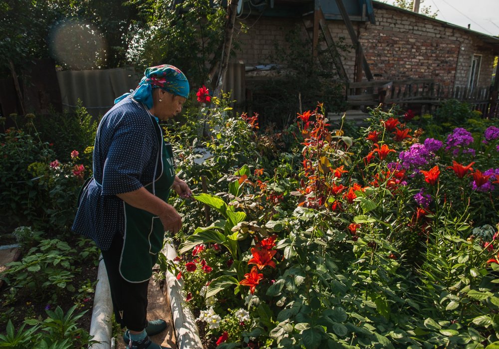 Все лето пенсионеры проводят на даче, возделывая большой огород.