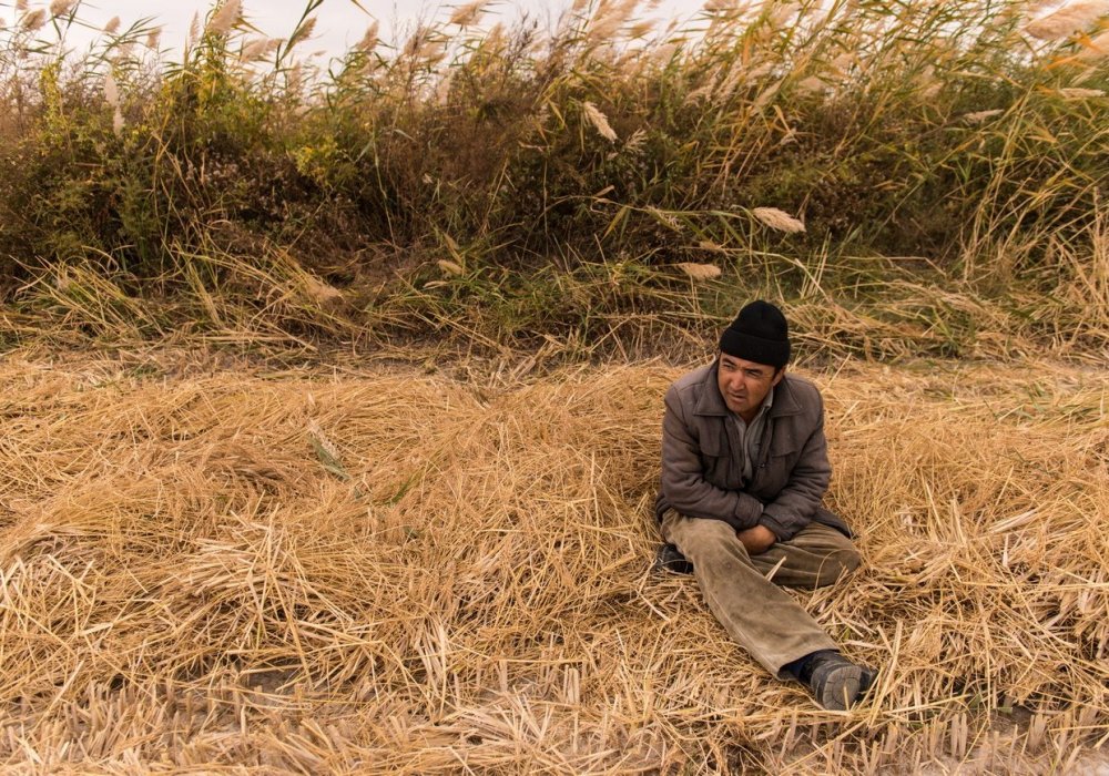 В этом году по району рис был посеян на 11 150 гектарах. Урожай убирали на 66 008 тонн.