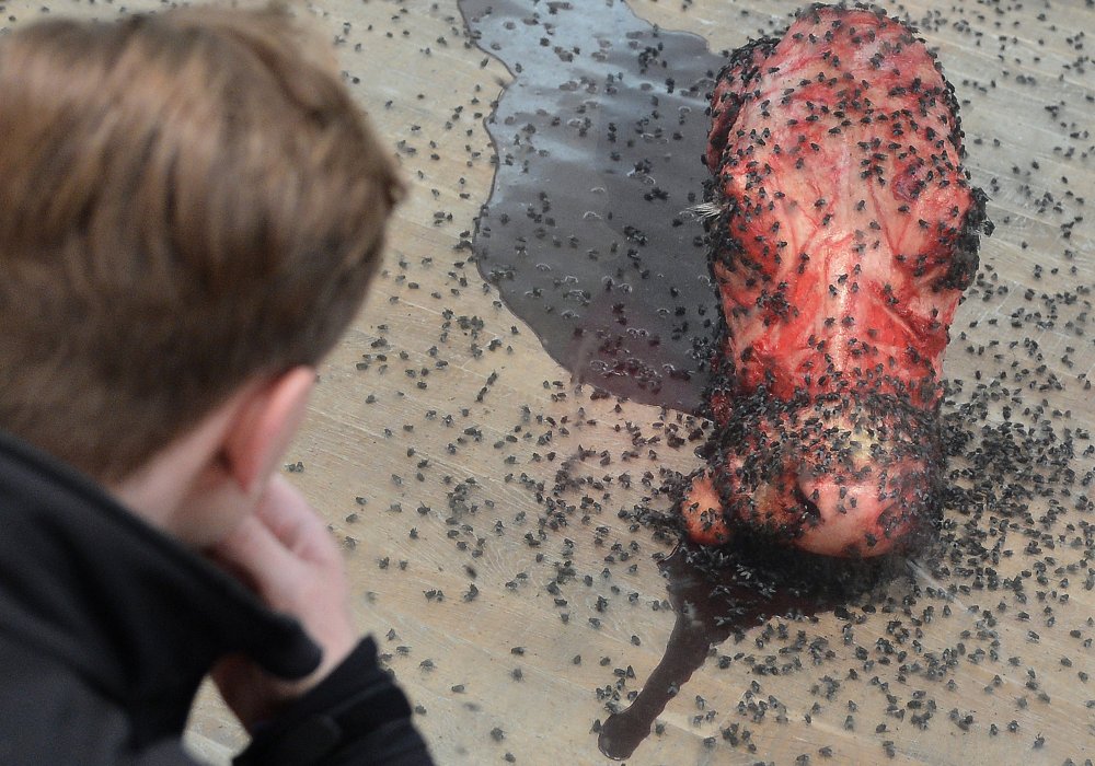 Инсталляция "Тысяча лет". В стеклянном коробе находятся голова коровы, черви, мухи и мухобойка, которая их убивает. ©REUTERS/Toby Melville