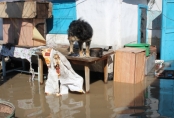 После воды. Репортаж из затопленного Атбасара