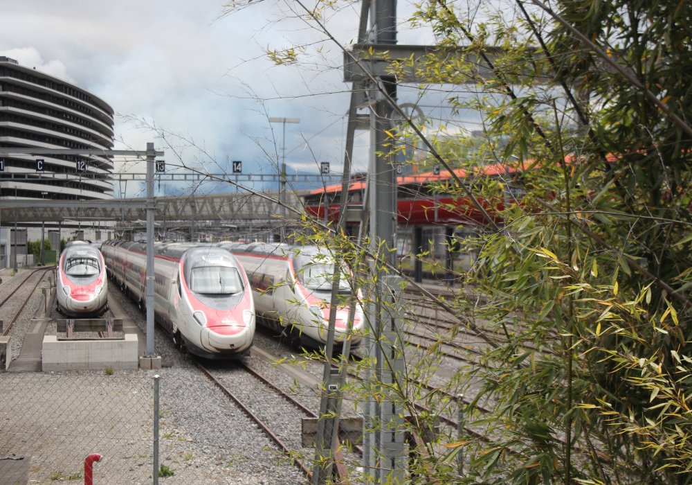 Swiss Travel System считается одной из самых развитых транспортных систем в мире, в нее входят железные дороги, озерный флот, троллейбусы, трамваи и автобусы.
