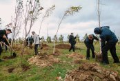 Казахстанские машиностроители внесли вклад в озеленение Астаны