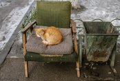 12 стульев по-казахстански. Предметы, которые расскажут о нашей стране больше, чем любые слова