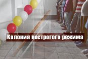 Работают, свободно передвигаются. Как живут осужденные по делу Дениса Тена и Искандера Сулейменова