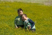Каникулы в деревне, или Почему стоит отправить ребенка в аул