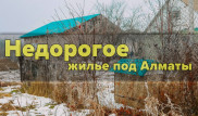 "Зато мои дети здоровы". В поисках доступного жилья алматинцы селятся на дачах
