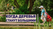 Они устали от карантина и пришли в Ботанический сад. Алматинцы ждут цветения сакуры