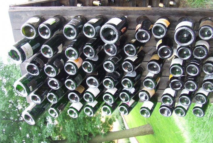 Бутылки из под вина в огромном винограднике в Праге. ©Роза Есенкулова