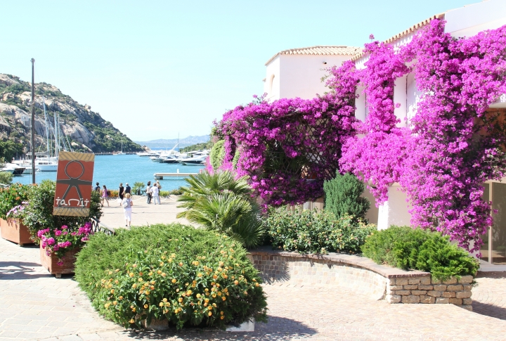 Яркость красок Сардинии поражает своим великолепием. ©Сергей Майборода