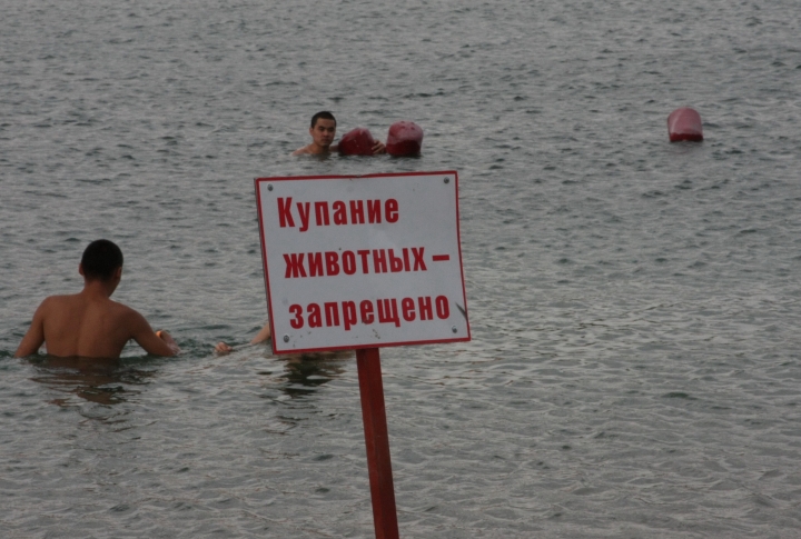 По периметру были выставлены запрещающие знаки ©Роза Есенкулова 