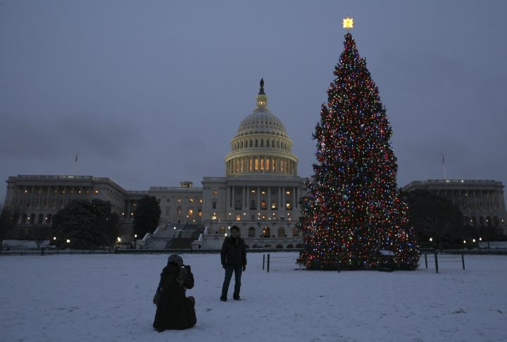 Новогодняя ель у Капитолия в Вашингтоне, США. Фото ©REUTERS\Molly Riley
