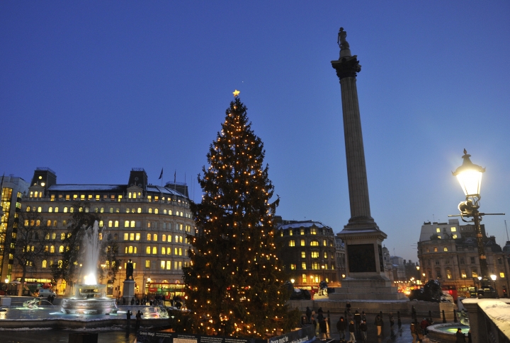 Новогодняя ель из Норвегии на Трафальгарской площади в Лондоне, Великобритания. Фото ©REUTERS\Toby Melville