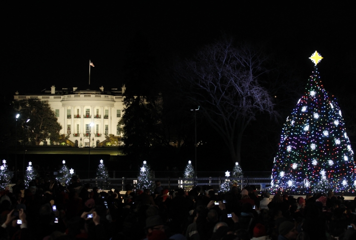 Новогодняя ель перед Белым домом в Вашингтоне, США. Фото ©REUTERS\Molly Riley