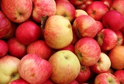 Apple fest в Алматы
