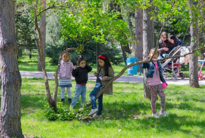 Дети играют на лужайке. Фото ©Ярослав Радловский