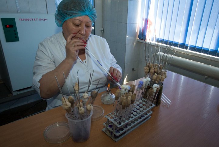 В лаборатории "Шин-лайн" тщательно контролируют качество продукции. Фото ©Ярослав Радловский