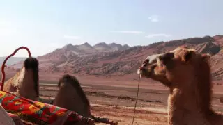 In the footsteps of great Central Asian explorer