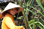 Vietnam. Country of yellow and green colors