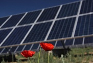 Green power plants in Zhambyl oblast of Kazakhstan