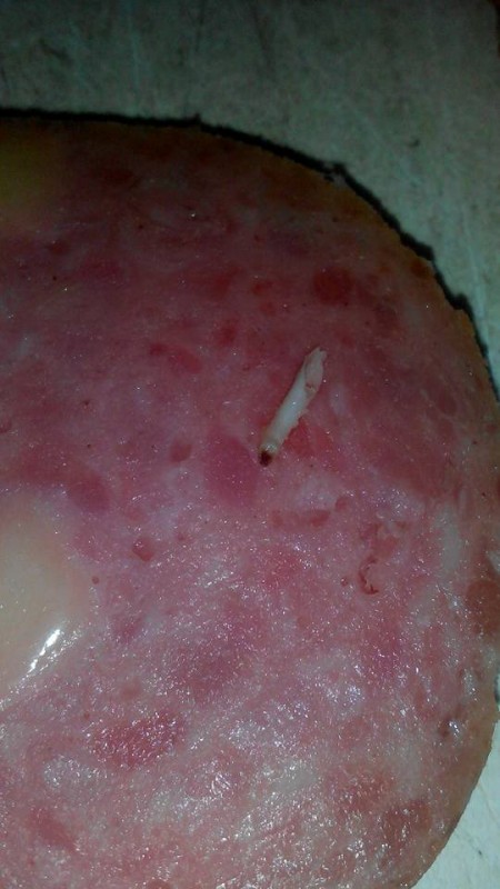 Жительница Алматы обнаружила червяка в купленной колбасе: 11