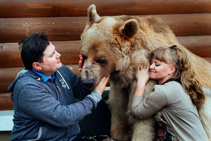 Медведь живет в семье