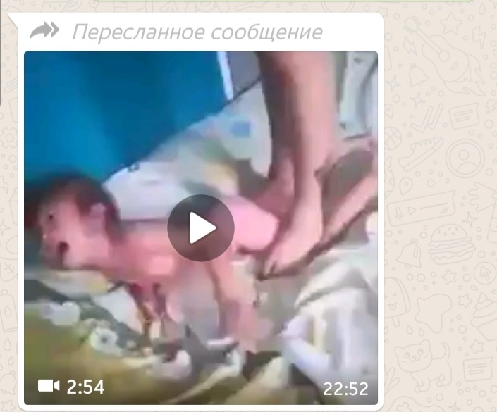 Русские ебутся и ругаются матом порно видео