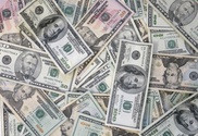 Студентка из Бельгии выставила на продажу свою невинность