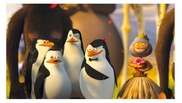 DreamWorks снимет фильм про пингвинов из "Мадагаскара"