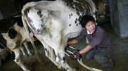 Китай расширил список запрещенных продуктов питания из Японии
