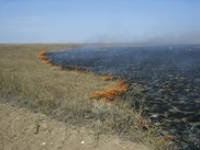 Восточный Казахстан охватили степные пожары