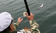 В Восточном Казахстане за незаконую рыбалку оштрафованы 44 нарушителя