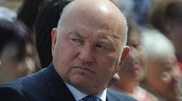 Лужков улетел в Англию навестить детей