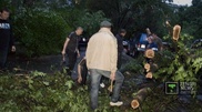 В Кызылординской области ветер сорвал крыши с 500 домов