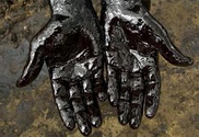 В Казахстане нашли новое месторождение с запасом нефти в 200 миллионов тонн