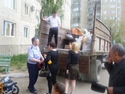 В связи с самоубийством ипотечника в Павлодаре могут завести уголовное дело