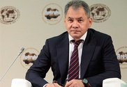 Шойгу наказал за пять дней разобраться с лесными пожарами в Сибири