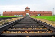 За кражу ложек из Освенцима супруги-израильтяне получили два года условно