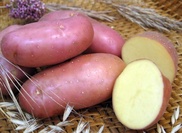 Ученые расшифровали геном картофеля
