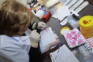 Подозрение на ККГЛ в Кызылординской области не подтвердилось 