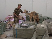 Полиция в Жамбылской области за два дня изъяла 700 килограммов марихуаны