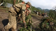 Из парка "Медеу" вывезли около 800 поваленных ураганом деревьев