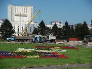 Молодежь Семея выступила против вырубки старых елей на Центральной площади