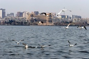 Каспийское море включили в список "незаменимых" экосистем мира
