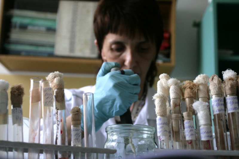 Лаборант во время работы в вирусологической лаборатории. ©РИА НОВОСТИ