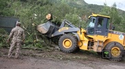Свыше шести тысяч упавших деревьев вывезли с Медеу