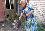 Жителям Петропавловска не удалось отведать шашлыка из овчарки