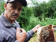 Алматинский наследник швейцарского миллионера не получит ни копейки